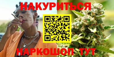 Альфа ПВП Бийск